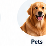 Pets